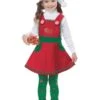 Toddler Elf In Charge Costume