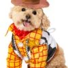 Toy Story Woody Costume For Dog