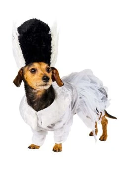 Bride Of Frankenstein Pet Costume