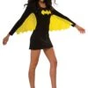 Women's Batgirl Wing Dress Costume